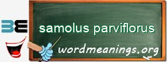 WordMeaning blackboard for samolus parviflorus